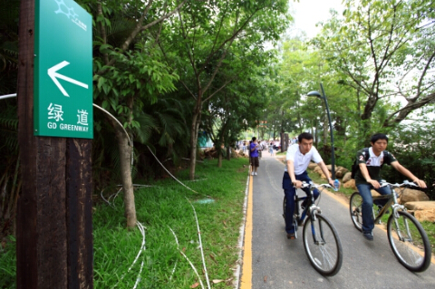 （图为市民们骑着自行车、穿行在“绿道”上。——王小可 摄）